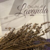 Chicche di lavanda (6)